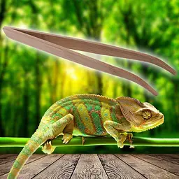 Бамбуковий вигнутий пінцет Repti-Zoo 28 см (FR09) для годування і догляду в тераріумі - мініатюра 6