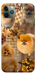 TPU чохол Demsky Spitz aethtetic для Apple iPhone 11 Pro Max (6.5")
