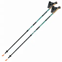 Палиці для скандинавської ходьби Gabel Stretch Lite Блакитний