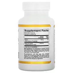 Мастичная смола Mastic Gum 500 mg 60 капсул CGN vit0005401 - миниатюра 2