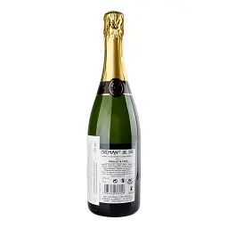 Вино ігристе Poulet & Fils Crеmant de Die Brut біле брют 0.75 л - мініатюра 2