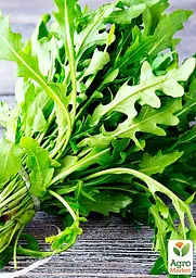 Насіння Agro-Market Рукола Красуня на вагу ціна за 10 г (22071) - мініатюра 2