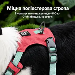 Шлея для собак Nunbell No-Pull з повідцем, регульована та світловідбивна L, Червоний - мініатюра 4