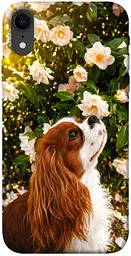 TPU чохол Demsky Flower spaniel для Apple iPhone XR (6.1")