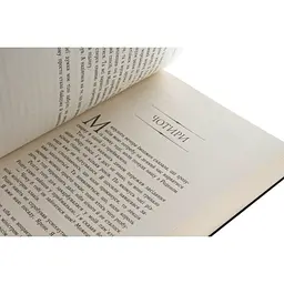 Дитяча книга Сходження на трон Полонене королівство Книга 4 - Дженніфер Е. Нільсен (525006) - мініатюра 4