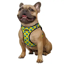 Шлея для собак Bronzedog Sport Vest Поп Арт S 20х16х3 см жовта - мініатюра 3