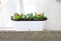 Вазон Santino Asti Window Box 12 л 50х17х20 см шаде (2021496) - мініатюра 7