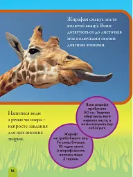 National Geographic. Моя перша енциклопедія. Тварини - мініатюра 4