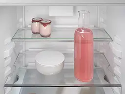 Холодильник Liebherr вбудований з нижньою морозильною камерою 177x55.9х54.6, холод.відд.-182л, мороз.відд.-67л, 2дв., A++, NF, льодогенератор, диспл внутр., білий - мініатюра 8