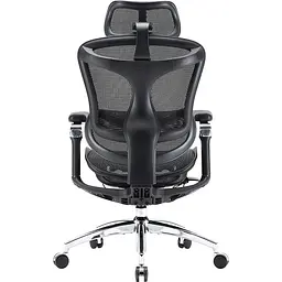 Крісло офісне Sihoo Doro C300 Pro Mesh Black (DORO-C300-PRO-M101) - мініатюра 2