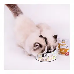 Вологий корм для котів Brit Care Soup з качкою 75 г - мініатюра 6