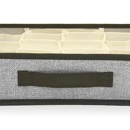 Короб-органайзер для зберігання Handy Home 16 секцій 35х27х9 см (ESH10) - мініатюра 3