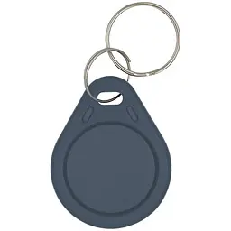 Брелок з чіпом Trinix (P-key RW gray)
