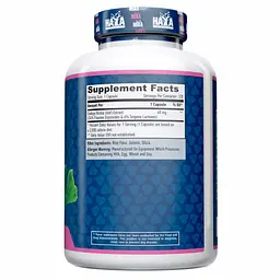 Натуральна добавка Haya Labs Ginkgo Biloba 60 mg, 120 таблеток - мініатюра 2