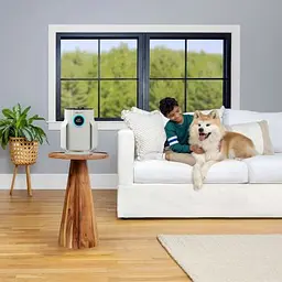 Очисник повітря Shark NeverChange5 Air Purifier Compact Pro (HP072EU) - мініатюра 6