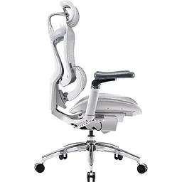 Крісло офісне Sihoo Doro C300 Pro Mesh White (DORO-C300-PRO-M102) - мініатюра 4