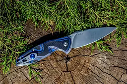 Ніж складаний Ruike Fang P105-Q - мініатюра 3
