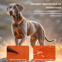 Шлея для собак Duomm No-Pull з повідцем, регульована та світловідбивна помаранчевий, S - мініатюра 6