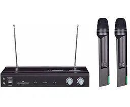 Радіосистема з двома ручними мікрофонами BIG V219 - мініатюра 1