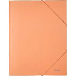 Папка на резинках Axent A4 430 мкм Pastelini peach (1504-42-A)