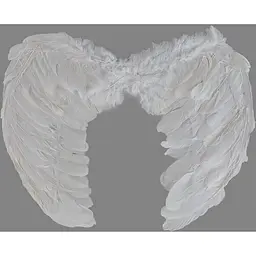 Крила янгола