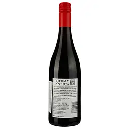 Вино Tierra Antica Cabernet Sauvignon червоне сухе 0.75 л - мініатюра 2