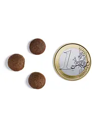 Сухий корм Ambrosia Grain Free Dog Adult For Large Breeds Fresh Turkey & Chicken для дорослих собак великих порід зі свіжою індичкою та куркою 12 кг - мініатюра 3