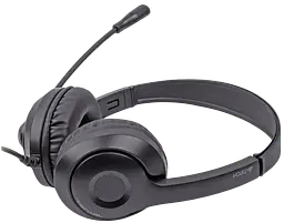 Гарнітура A4Tech FH100U Stone Black - мініатюра 1