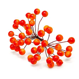 Декоративна Калина лакова для творчості Bambi Kl-orange-40, 12 мм, 40 ягідок, 20 дротиків