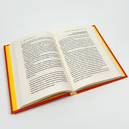 Зрозуміти (і здолати) булінг — Настя Мельниченко | Vivat, книга українською, нова, тверда - мініатюра 3