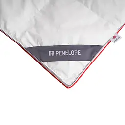 Ковдра Penelope - Thermy пухова 240x260 Super King size - мініатюра 7
