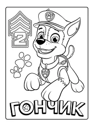 Мегащенята. Активіті-розмальовка. Нове завдання - - мініатюра 3