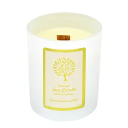 Свічка Aurora Natural Soy Candle яблуко з корицею 150 г - мініатюра 3