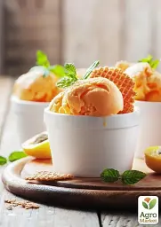 Саджанець Agro-Market Абрикос Ананасний (середній термін дозрівання) 1 шт. в упаковці (35456) - мініатюра 3