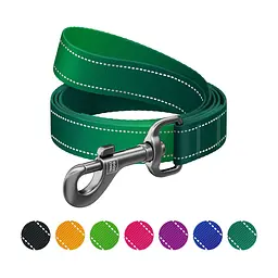 Повідець для собак WAUDOG Nylon Mono, світловідбивний M зелений (521818)