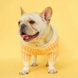 Светр для собак PetCircle широка безжова в'язка, помаранчевий L Petcircle Summer zoo0005814 - мініатюра 3