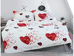 Комплект постільної білизни з компаньйоном (R7634) Євро TAG tekstil pbe0036739 - мініатюра 2