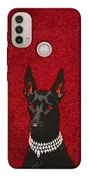 TPU чохол Demsky Premium doberman для Motorola Moto E40