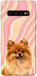 TPU чохол Demsky Pastel spitz для Samsung Galaxy S10
