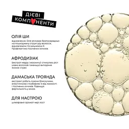 Олія LEIA Magnétisme для всіх типів волосся (65085) - мініатюра 3
