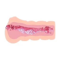 Мастурбатор Crazy Bull 3D Vagina (тілесний) - мініатюра 5