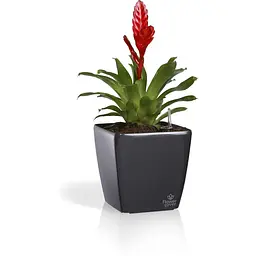 Вазон Plastkon Quadrato Flower Lover із системою автополиву 18x18x17 см глянцевий антрацит - мініатюра 3