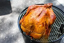 Коптильня вугільна Weber Smokey Mountain Cooker 57 см (731004) - мініатюра 11