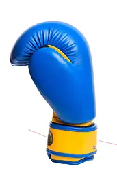Боксерські рукавиці (PP-3004JR) PowerPlay 8 унцій fit0003130 - мініатюра 2