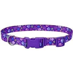 Нашийник для собак Coastal Pet Attire Style 2см x 35-50см (06621_SPW20)