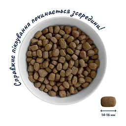 Сухий корм для собак Home Food Adult Medium/Maxi For active adult and junior dogs з ягням та рисом 300 г (4820290090279) - мініатюра 4