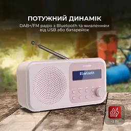 Радіоприймач Sharp DR-P420 Pink - мініатюра 4