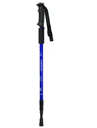 Палка для скандинавської ходьби EasyFit Energia синя 1 шт (EF-3924-BL)