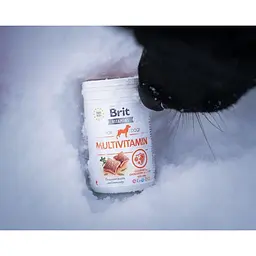 Вітаміни для собак Brit Vitamins Multivitamin для підвищення імунітету 150 г - мініатюра 3