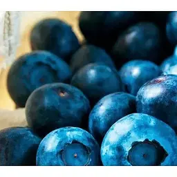 Саджанець Agro-Market Лохина (чорниця садова) Нельсон (Nelson) (пізній термін дозрівання, один з великоплідних сортів) 1 саджанець (45481) - мініатюра 2